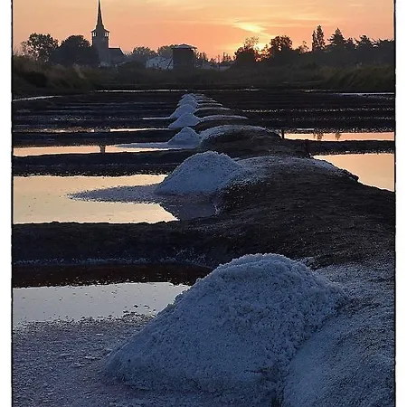 La Cite Des Pins - Piscine Chauffee Les Sables-dʼOlonne