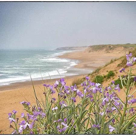 La Cite Des Pins - Piscine Chauffee * Les Sables-dʼOlonne