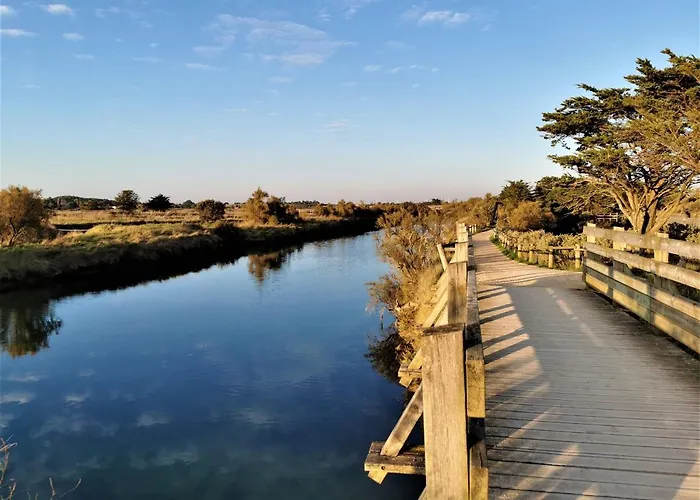 La Cite Des Pins - Piscine Chauffee
