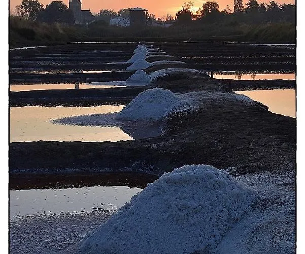 La Cite Des Pins - Piscine Chauffee Les Sables-dʼOlonne